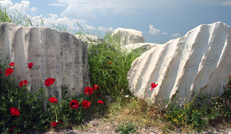 Turkey Tour Operator
