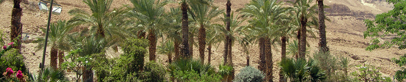 Magical Israel Tour Travel Speciatlists