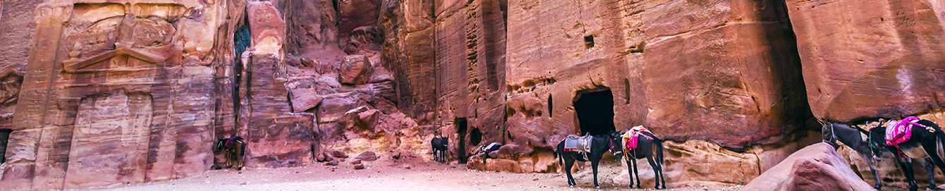 Magnificent Jordan Travel Tour Operators